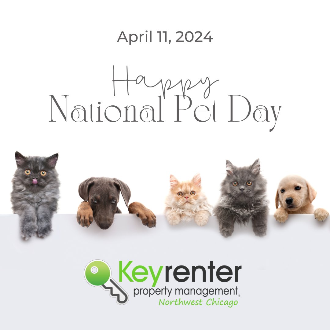 Happy #NationalPetDay from #KeyrenterNorthwestChicago

Grow your support circle by adding an expert #propertymanagement team; one who guides you on maintaining the tenuous landlord-tenant-pet relationship, like we've done on our #Blog: t.ly/7TJx1

@KeyrenterNWC