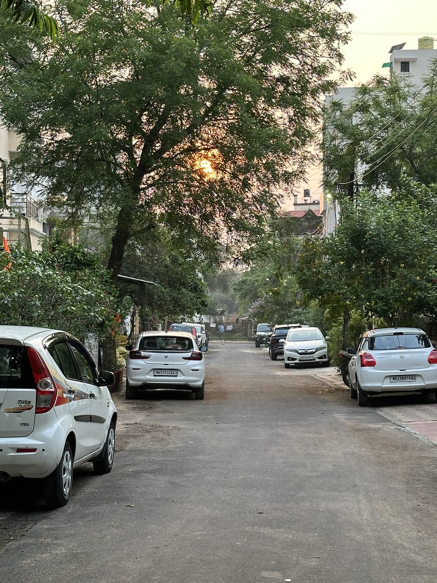 #evening #sunsetphotography 🌇 Just while returning from hospital 🏥 Saw this gully and clicked a pic 📸 Sun ☀️ is somewhat peeping between the leaves 🌿🍃