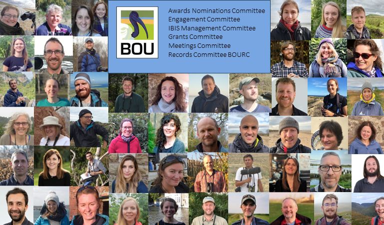 2/ BOU is driven by you – your research and enthusiasm for #ornithology. BOU has 6 standing committees that look after all aspects of BOU’s work. Want to become a part of it? Committee nominations are open annually buff.ly/3VNrbBG