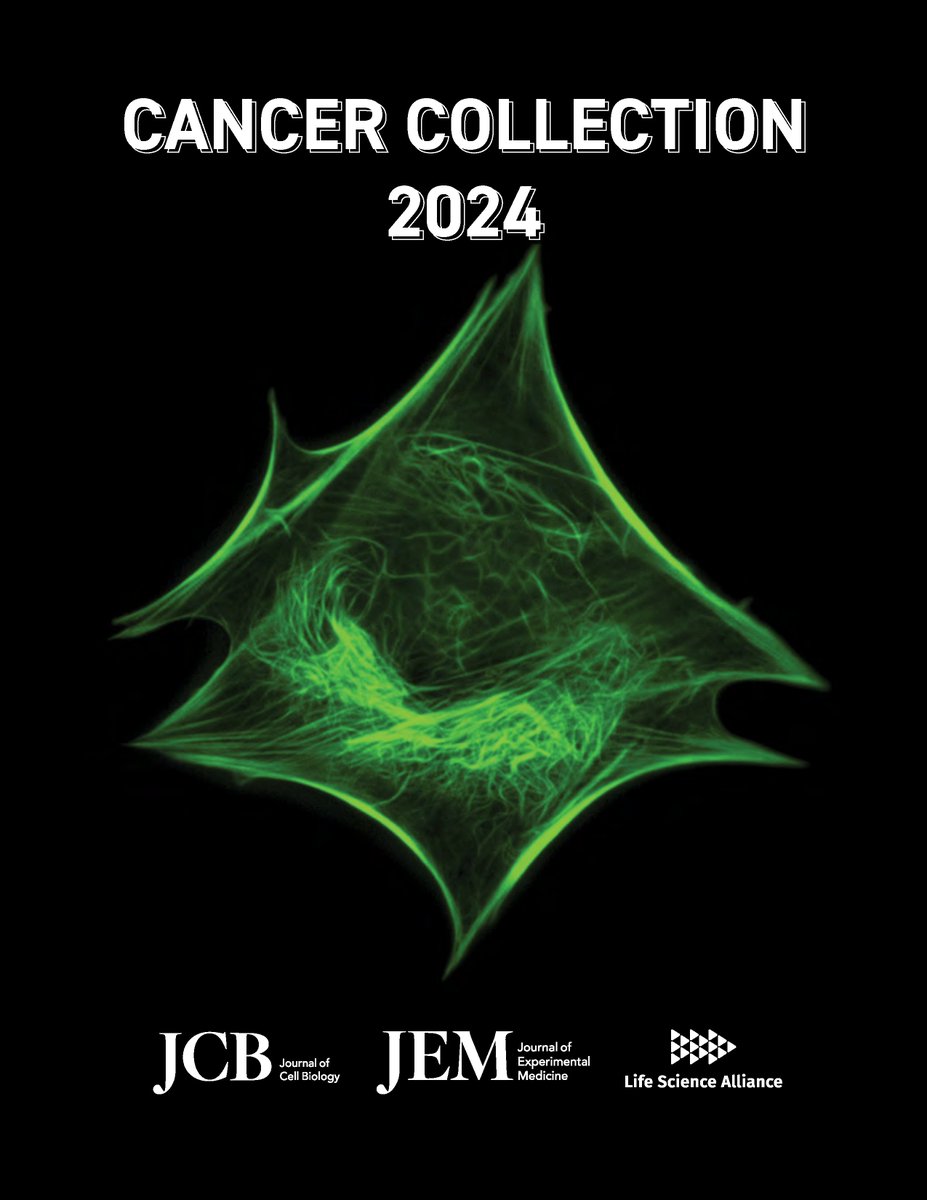 ICYMI: we present a special magazine w/ some of the research articles from our Cancer Cell Biology collection (hubs.la/Q02rQpTG0), as well as cancer research published in other @RockUPress journals, @JExpMed & @LSAjournal. Download the PDF ▶️ hubs.la/Q02rQ3Sp0