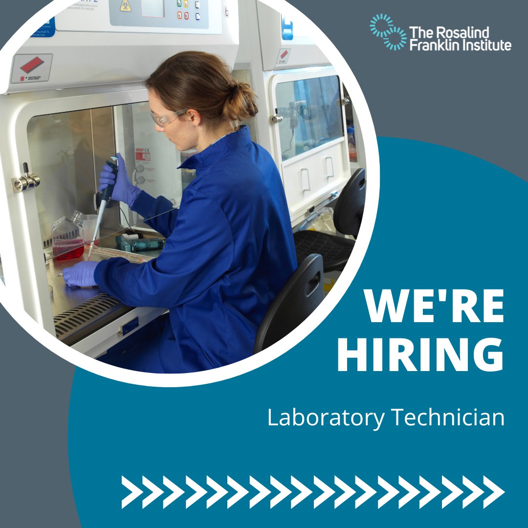 We are looking for a Laboratory Technician to join the Structural Biology Team here at the Franklin! Responsibilities include both fundamental aspects of laboratory support as well as more specialist technical tasks. Find out more and apply here: zurl.co/lPUb