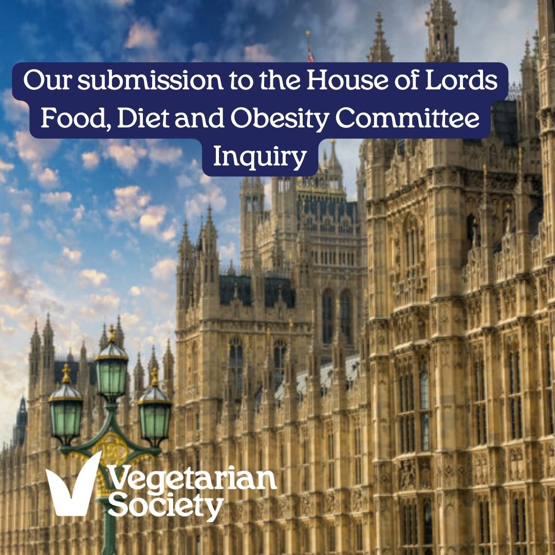 Read our submission to the House of Lords Committee on Food, Diet and Obesity vegsoc.org/blog/our-submi… The Committee will report by 30 November 2024 and we’ll keep members and supporters up to speed with progress.