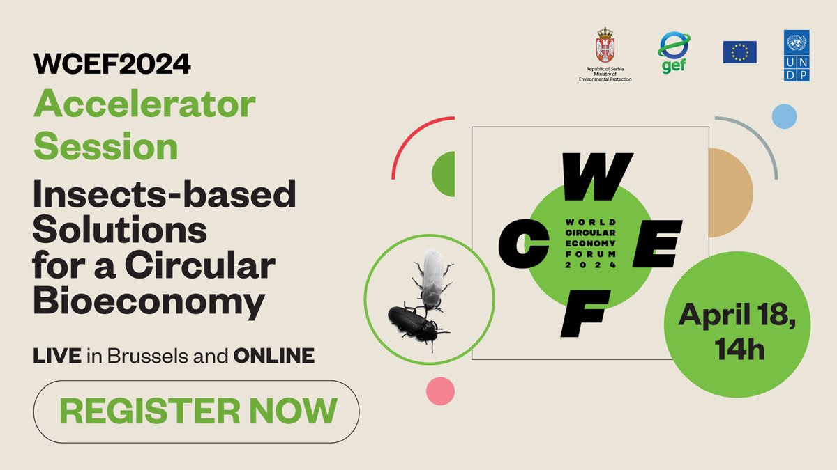 🐛🌍 How can Insects contribute to achieving a #ZeroWaste vision? Join the #WCEF2024 Accelerator Session on April 18 to learn about the innovative ways of using insects to reduce waste, with @UNDPSouthAfrica, @UNDPSerbia and @UNDPLesotho. 🔗 Register: ow.ly/UOef50RebFM