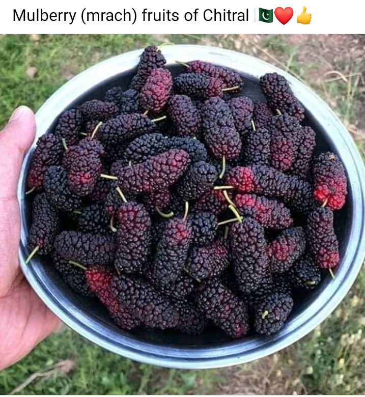 What is the name of this fruit in your language
