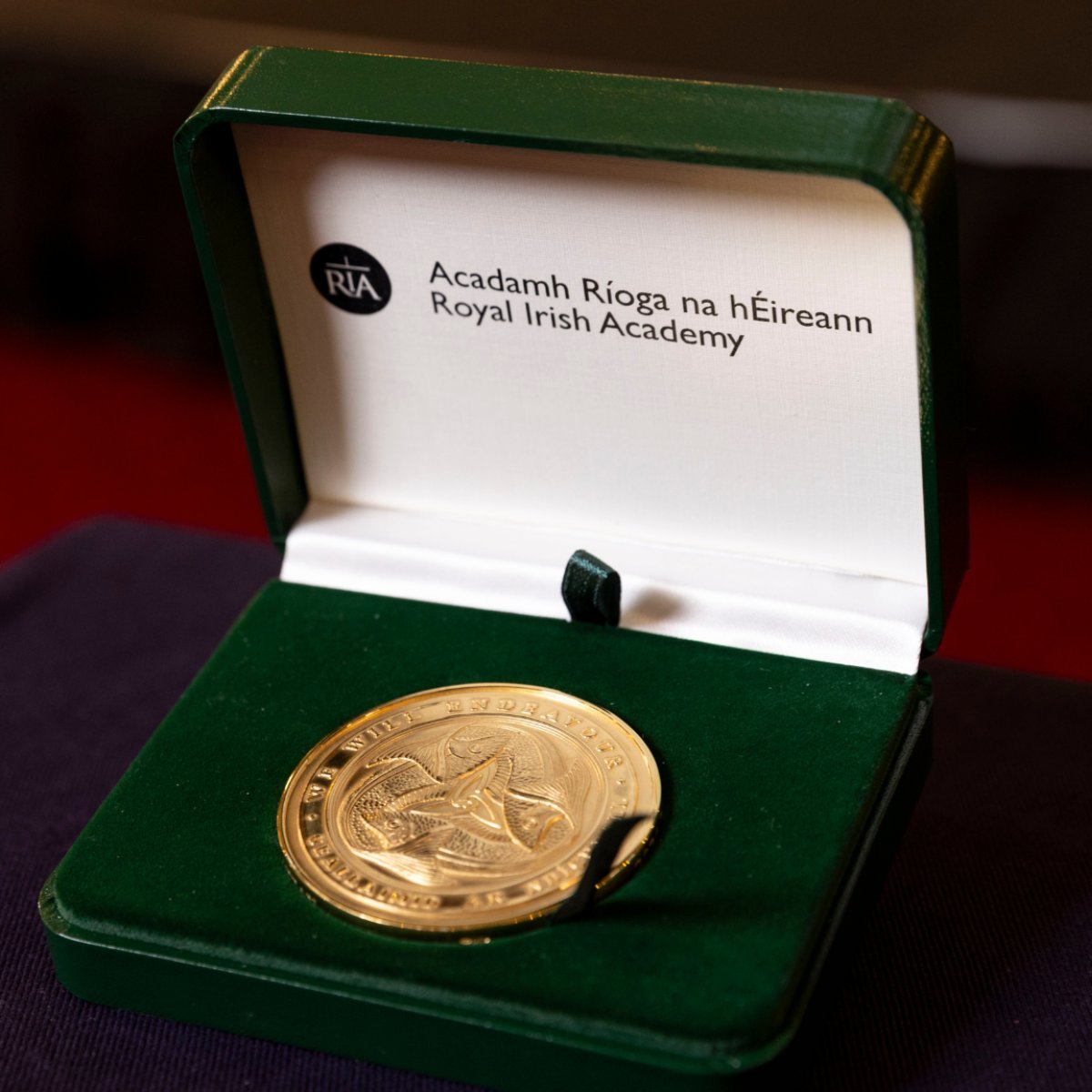 In 2025, two #RIAGoldMedals will be awarded: one in the Humanities & one in the Life & Medical Sciences to recognise world-class researchers in Ireland making a global impact. The call for nominations is open until 4 June 2024. See criteria & apply: bit.ly/2025RIAGoldMed…