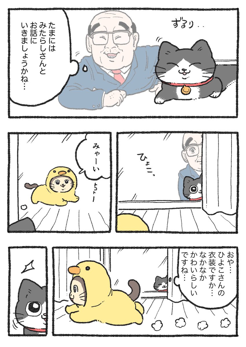 ねこおじ様 ねこに転生したおじさん。その432
