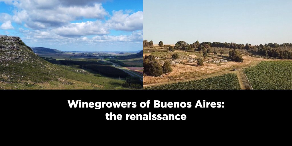 🍷🇦🇷 The winegrowers of #BuenosAires in #Balcarce, #Tandil and #Saldungaray represent a new chapter in the #VinoArgentino industry, offering a range of experiences that encourage consumers to look beyond the country’s traditional powerhouses. 📲 Read more: blog.winesofargentina.com/destacadas/win…