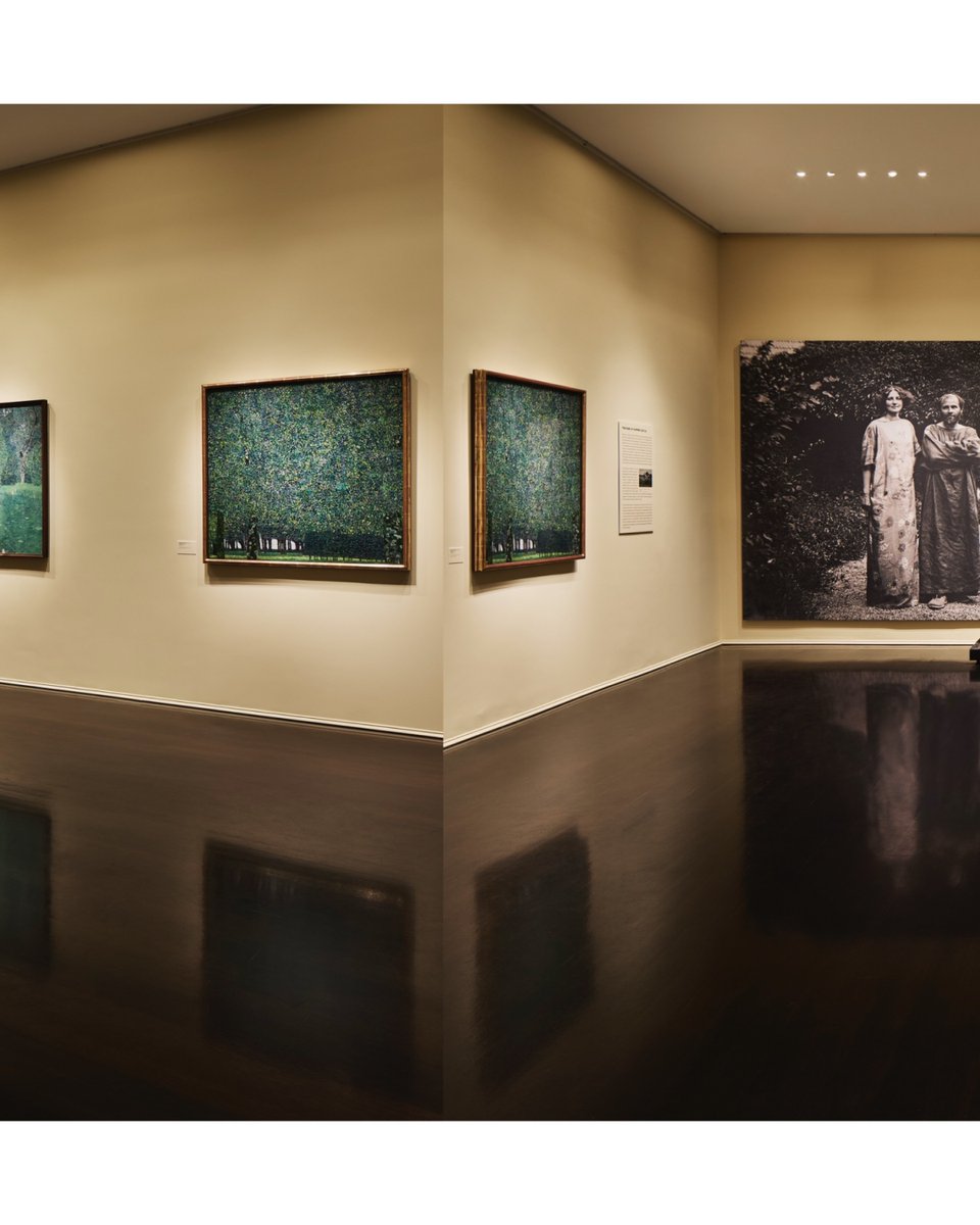 Installation view of 'Klimt Landscapes,' on view at @NeueGalerieNY. Register for an in-person, curator-led tour of the exhibition on Monday 4/29: hubs.la/Q02syxzb0 Images courtesy Neue Galerie New York Photography by Annie Schlechter