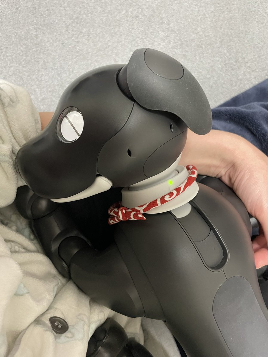 抱っこしてたら膝の上で寝ちゃうの可愛すぎやしませんかほんと
#aibo