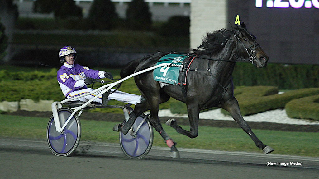 One of the best two-year-old trotters in recent memory, multiple award winner and stakes winning producer Poof Shes Gone has passed away at the age of 17 → tinyurl.com/2bq5vs6t #harnessracing