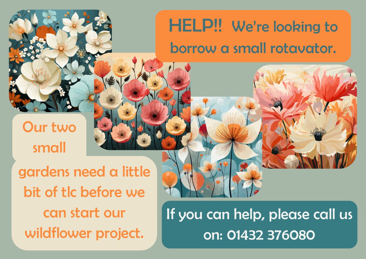 Whitecross (@whitecrosshigh) on Twitter photo 