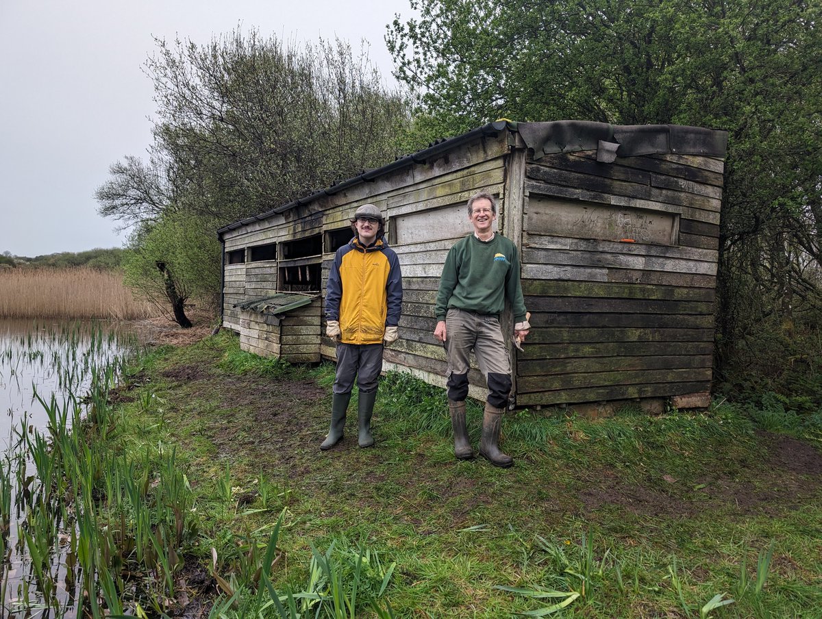 Big thank you to the volunteers today!
It was a mammoth effort to repair the hide quickly so not to disturb the nesting  Great Crested Grebes
(Podiceps cristatus)
#VolunteerWork #Thankyou