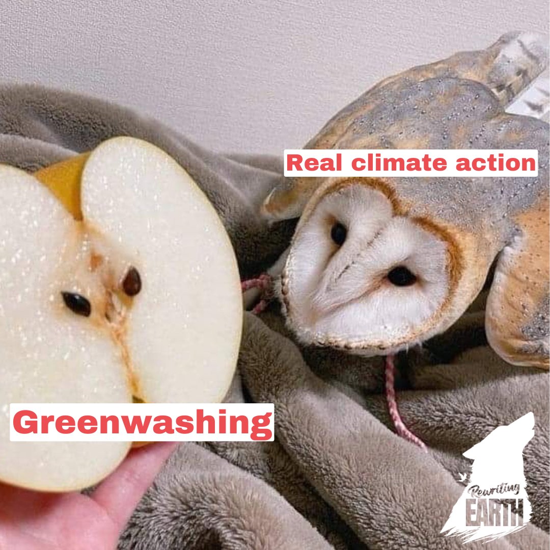 🦉 something is not quite right... 🤔 #greenwashing #rewritingearth