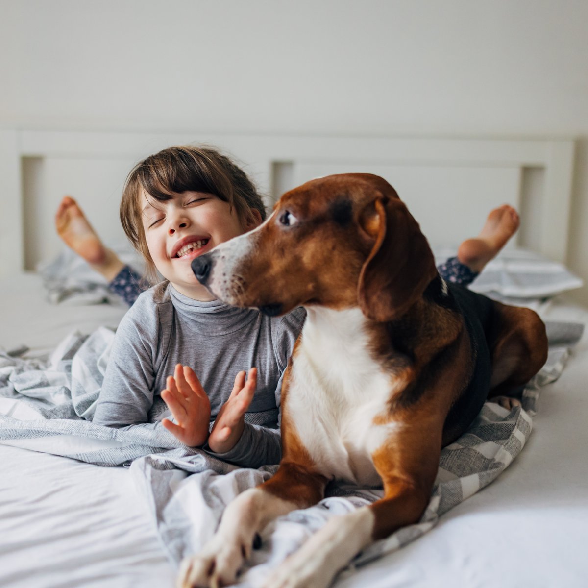 The unconditional love from our pets is a special kindness that has the ability to heal. This #NationalPetDay, give an extra cuddle to your furry friends who provide support year round. #Hellohumankindness