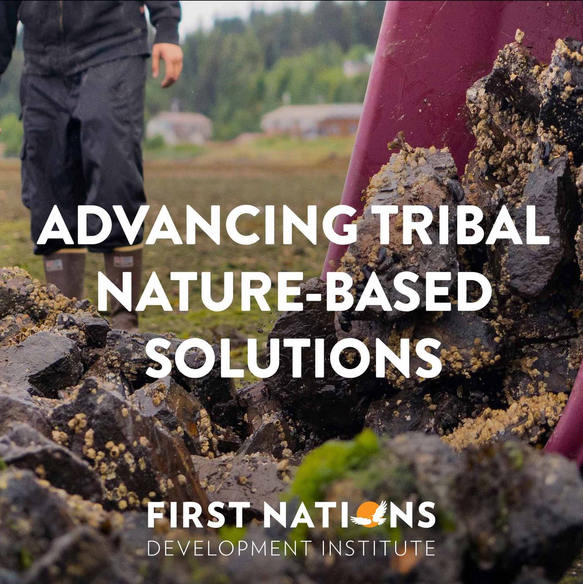 REMINDER: We will distribute 6 Advancing Tribal Nature-Based Solutions grants of up to $200k each to support approaches to #ClimateAction based on community, culture, and nature. Apply by 5/22: bit.ly/49PlLdG Access the Q&A webinar recording: bit.ly/3PfrNfp