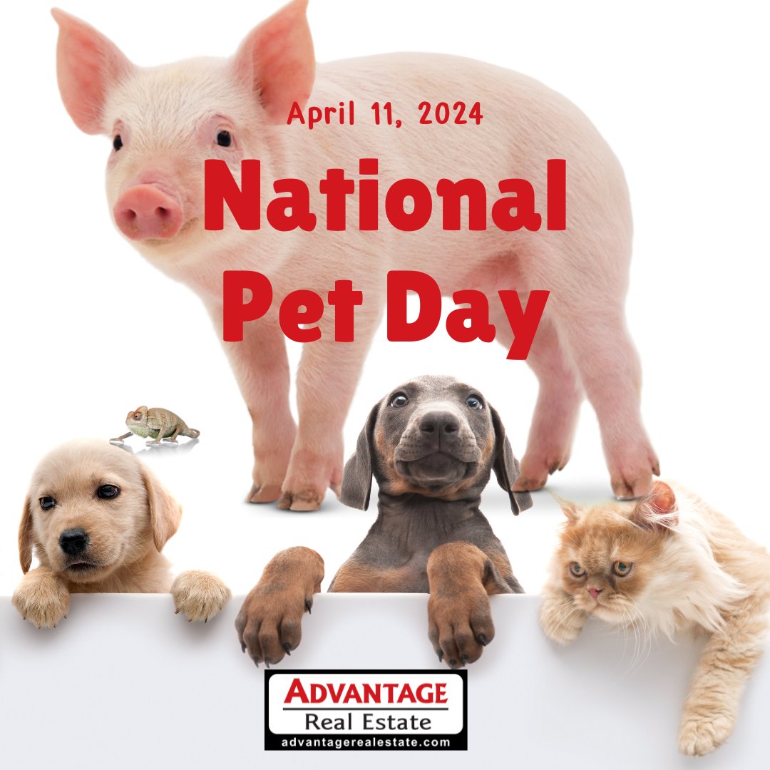 We've seen some pretty interesting pets in the field and they didn't include dogs or cats! This is a rural community after all, LOL. Let's see your favorite family friend. #advantagerealestatenewport #nationalpetday #centraloregoncoast #springfun #Lincolncounty