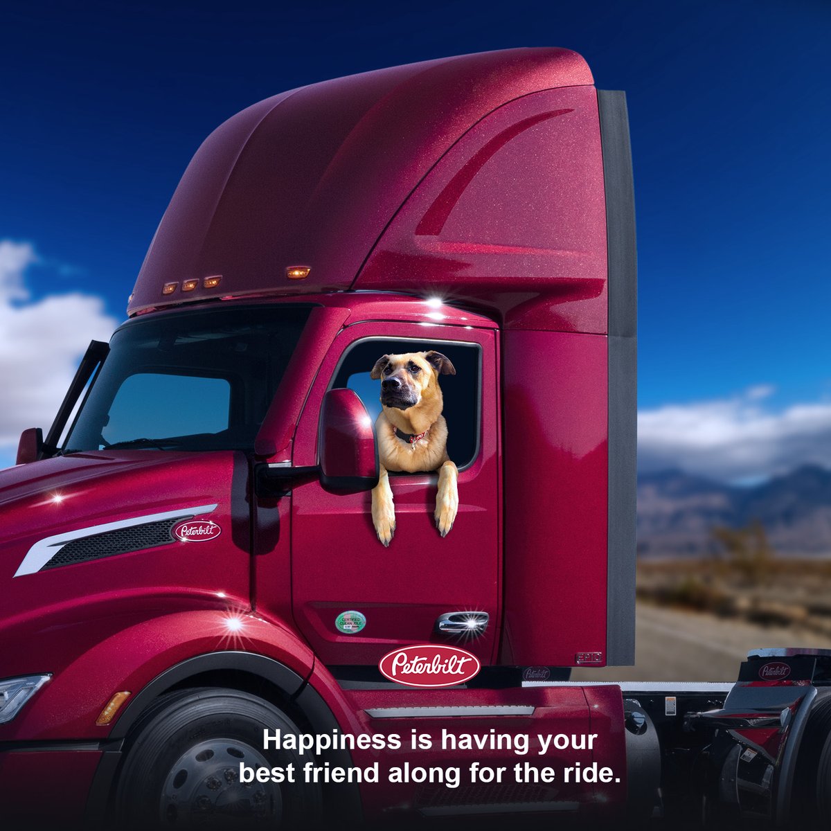 Happy National Pet Day to our favorite co-pilots! Share a photo of your pet with your Peterbilt at the link below for a chance to get featured! bit.ly/PBPictureForm #Peterbilt #PeterbiltTrucks #PeterbiltPets #NationalPetDay