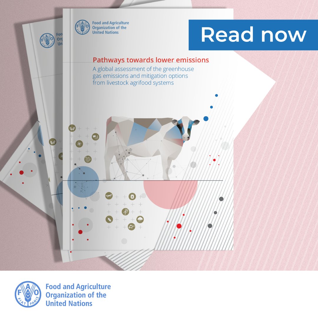 ✅ Implementing sustainable practices is crucial to achieve lower emissions and reduce the environmental impact of livestock systems. ⬇️⬇️⬇️ 🔎 Discover the @FAO report on pathways towards lower emissions: 🔗 doi.org/10.4060/cc9029… #ClimateAction