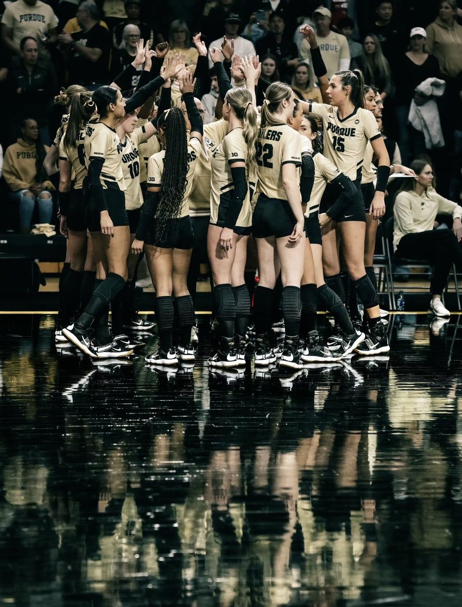 Dave Shondell tweet media