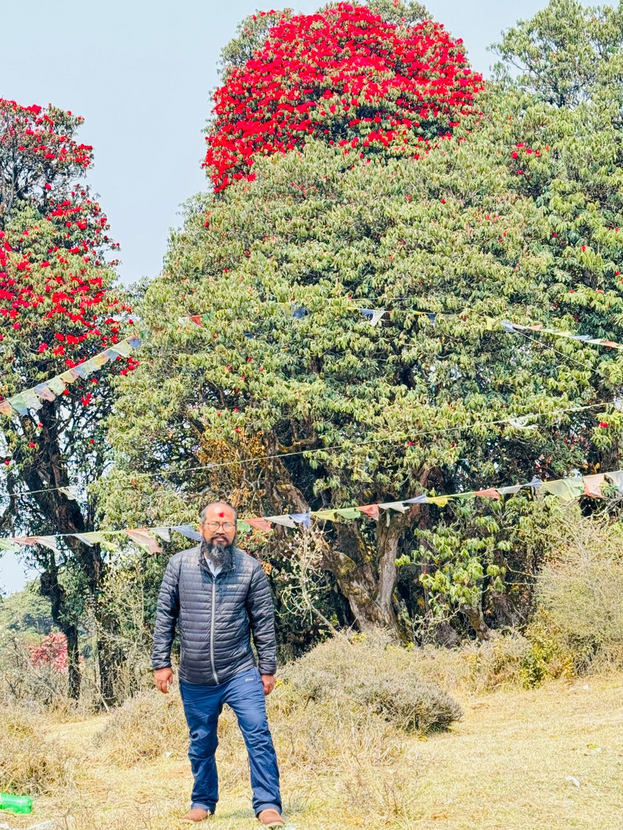 yuparkoti's tweet photo. At Tinjure https://t.co/alzyjZpcw9
