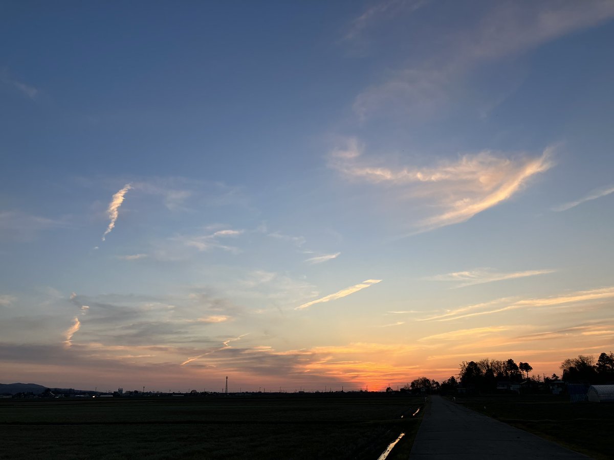 今日は朝起きて
午前中から仕事して
20時には一区切りして
ゆっくり湯船につかって
もう眠くなってます
とても人間らしい生活でした
毎日こんな感じだと良いですね
また明日も頑張りましょう◎