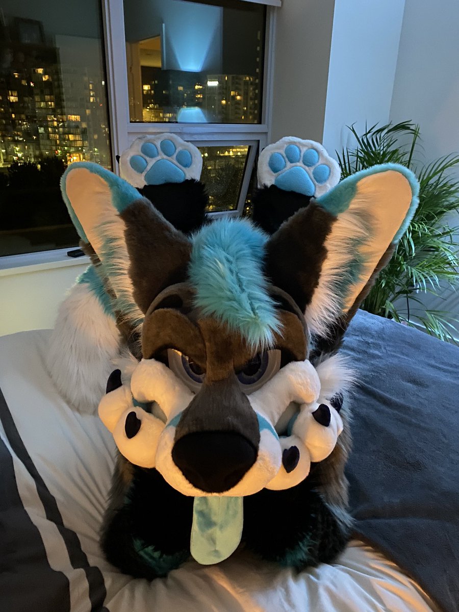 Hi~ Been a while, but might start posting here again. Who’s gonna give me some welcome back cuddles? 🦊✨🐾

🪡 <a href="/MoreFurLess/">More Fur Less</a>