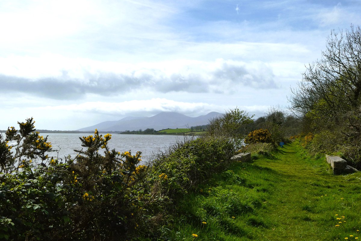 Lovely lunchtime dander on the Dundrum Coastal path. The weather came good and dispensed some genuine warm spring cheer.