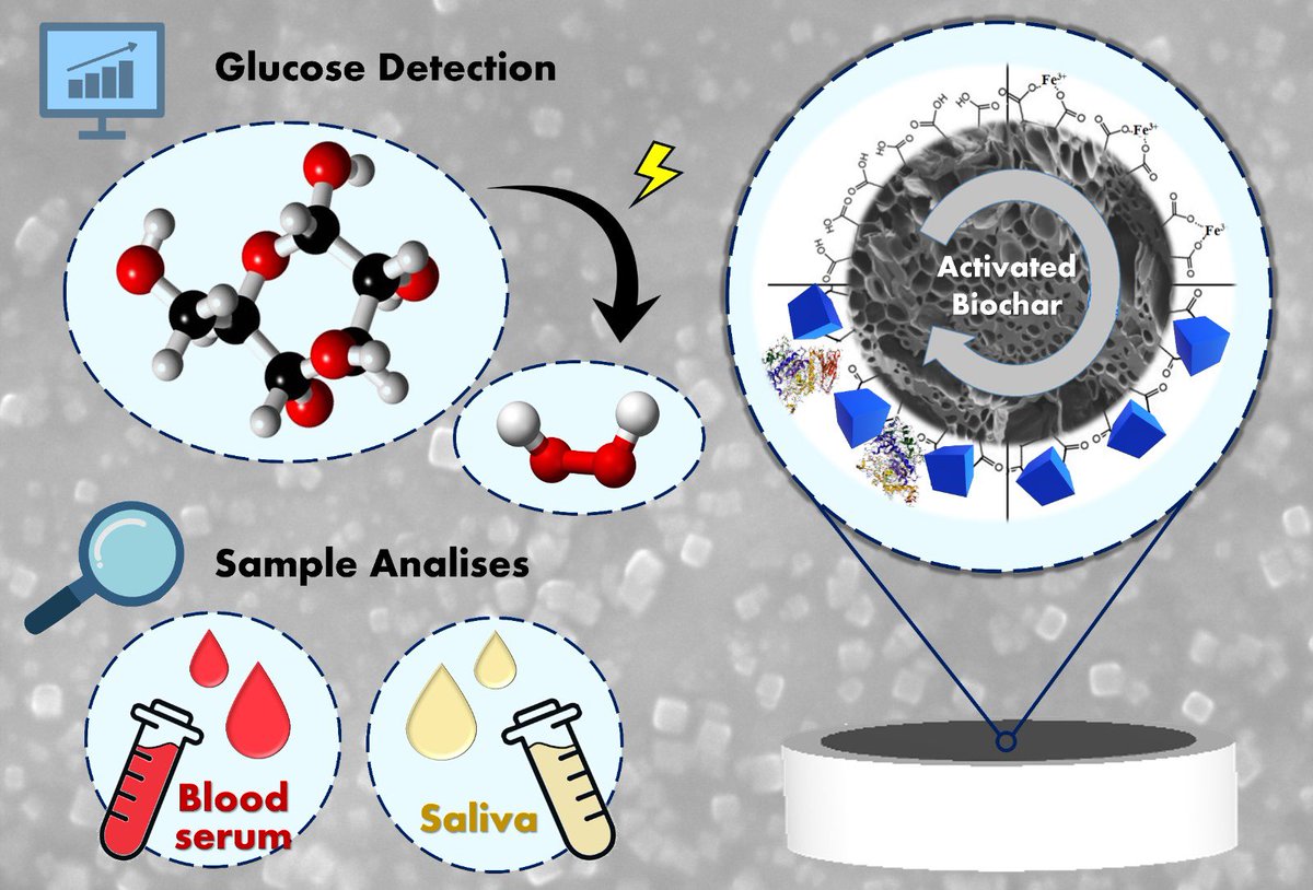Happy to share our most recent paper “Nanostructures of Prussian blue supported on activated biochar for the development of a glucose biosensor”.
The last chapter of my PhD thesis 👩🏻‍🔬🎉

doi.org/10.1016/j.tala…

@pr_oliveira85 @UFPR @cienciaufpr @CAPES_Oficial