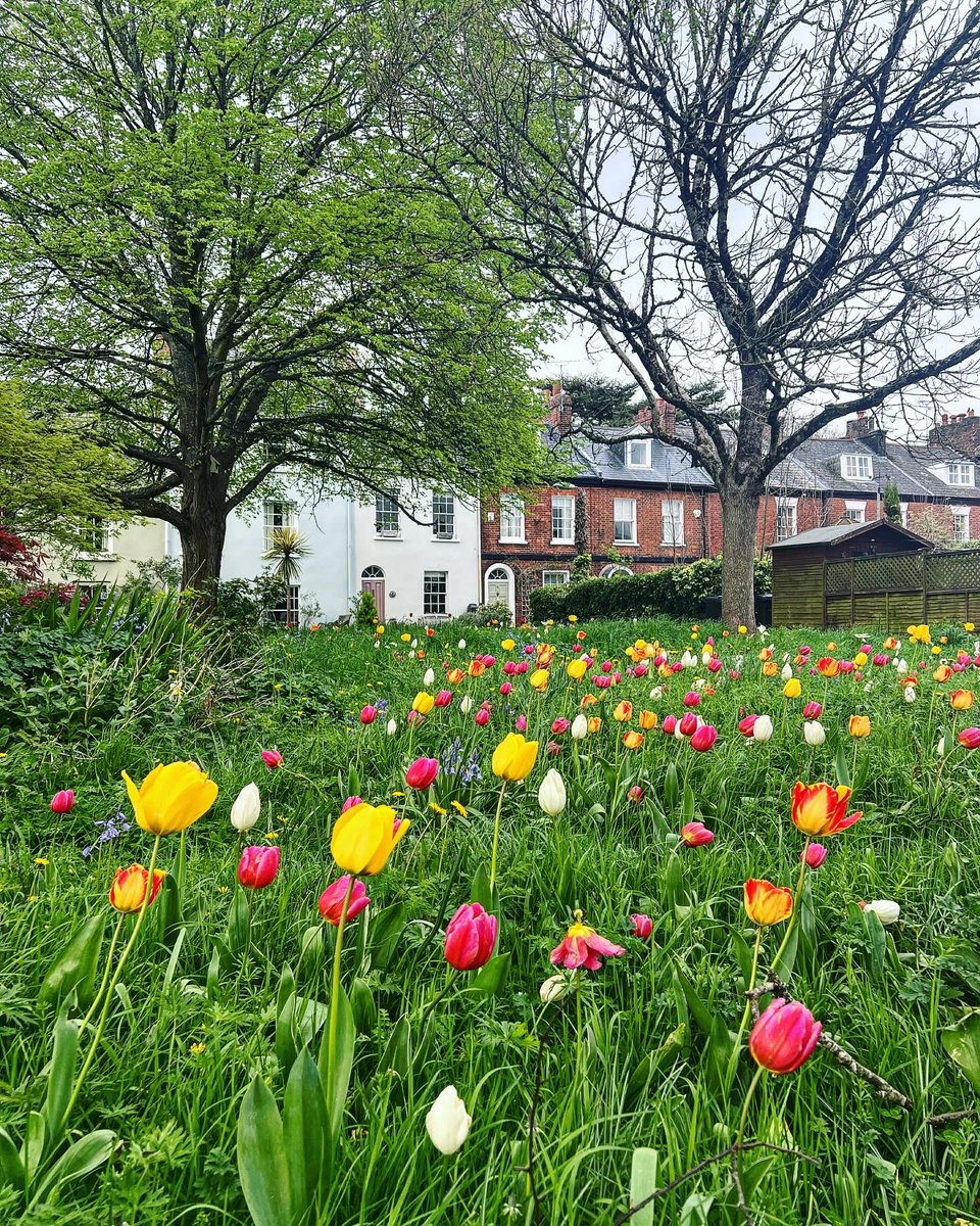 Splashes of Spring colour on (yet another 🙄) grey day in the city… #Exeter #BrighterDaysAreComing #LoveExeter 
instagram.com/p/C5n7DeYsEyom…