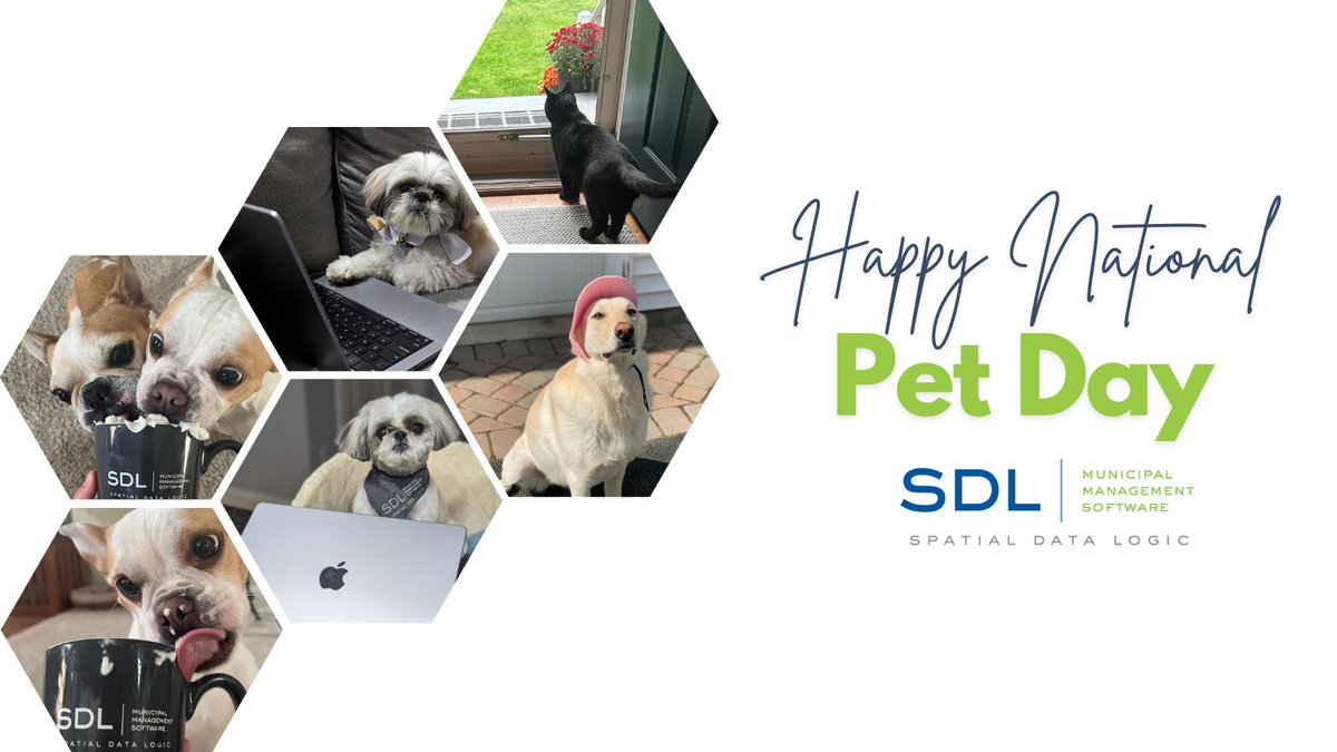 On National Pet Day, we're giving a round of apPAWS to our team's delightful companions! Here's a few pets showing their SDL pride. 🐾 #FurFamily #NationalPetDay