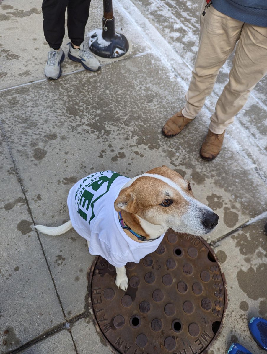 Happy #NationalPetDay from this @reiunion dog who supported @reiunionchicago workers on their ULP strike picket line back in February! Show us your union pets!