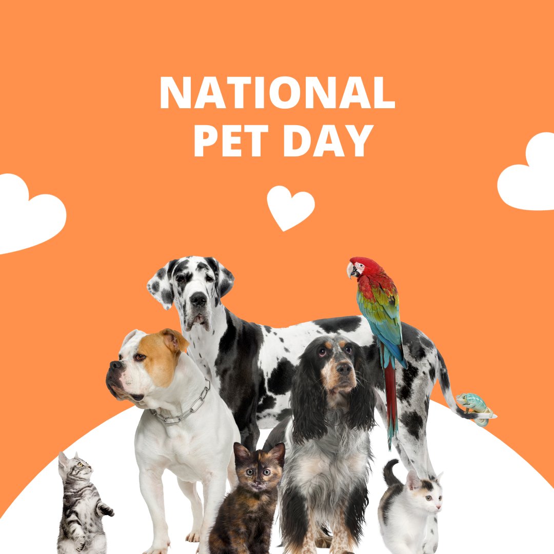 Happy National Pet Day! Did you know that pets can help reduce stress and anxiety? Take some time today to show your pet some extra love and affection. They deserve it! #NationalPetDay #StressRelief