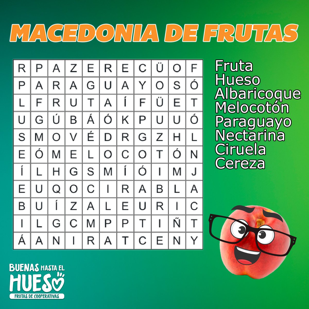 ¡Menuda macedonia tenemos aquí! ¿Podrás encontrar todas las frutas de hueso?🍑🤔 #melocoton #nectarina #paraguayo #albaricoque #ciruela #cereza #buenashastaelhueso