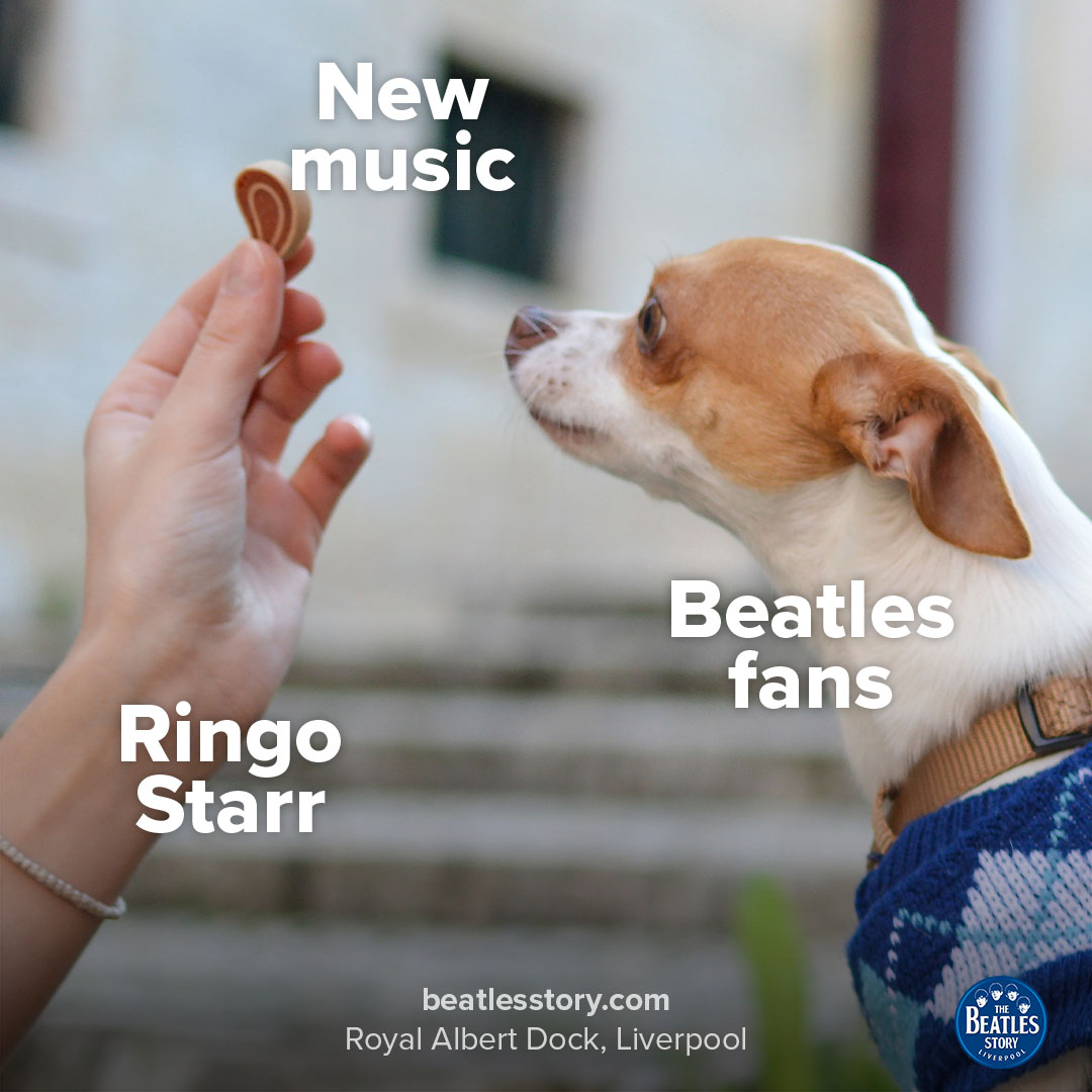 Ringo has treated us today with his brand new single February Sky, written and produced by Linda Perry What are your first impressions? ❤️ @ringostarrmusic @RealLindaPerry