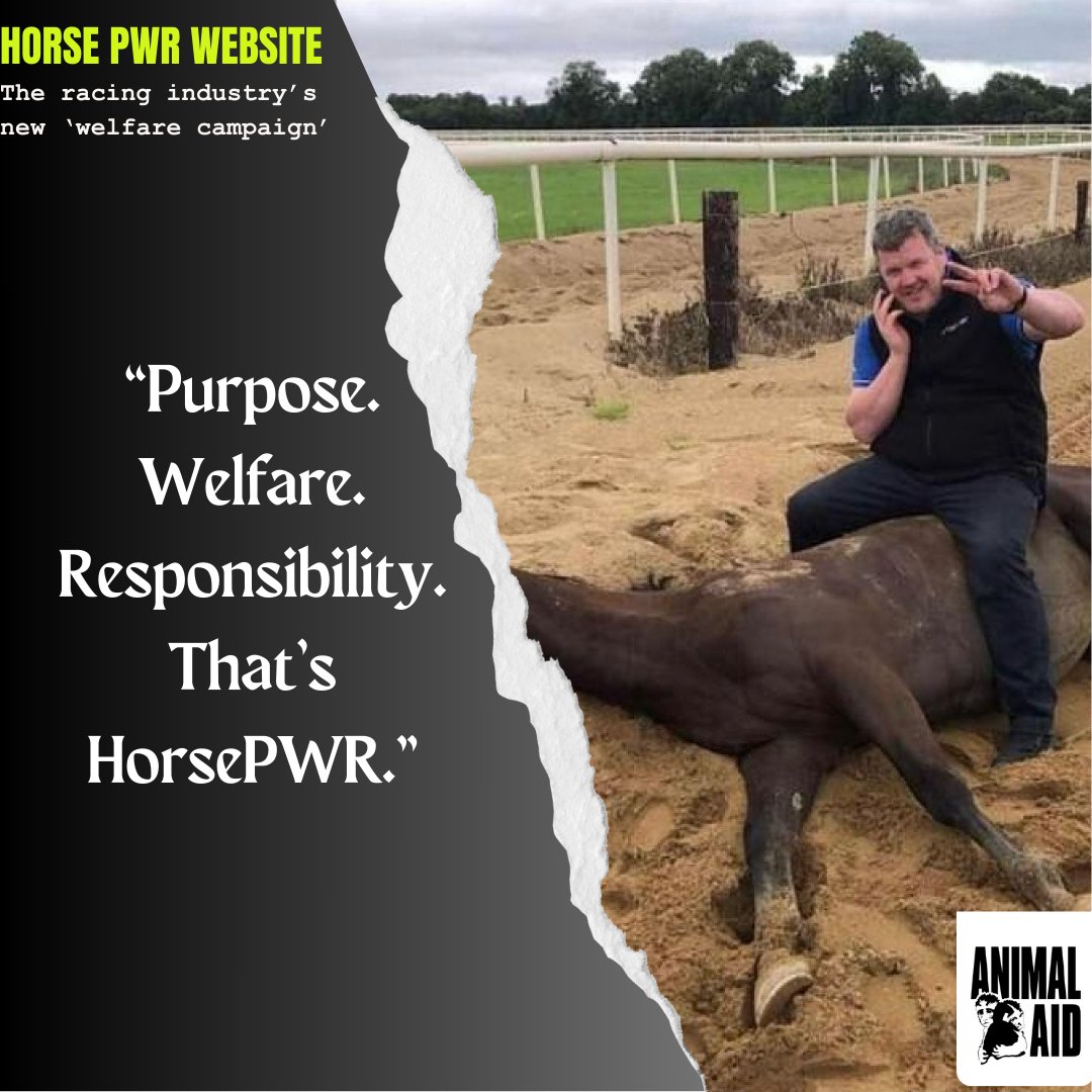 Gordon Elliott, race horse trainer, has just made £7k in a race at the Grand National Meeting. Meanwhile, the racing industry are pushing their new 'welfare campaign'. Here's a reminder of Elliott's past treatment of horses. #PoorWelfareRecord