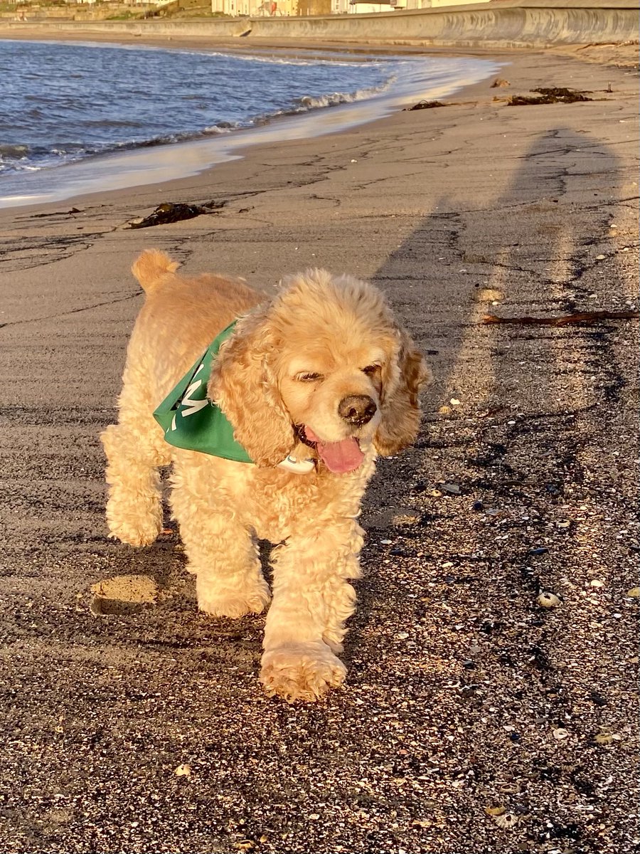 It was so sunny on the beach this morning Dry too Just how I like it #ShadowsInTheSand