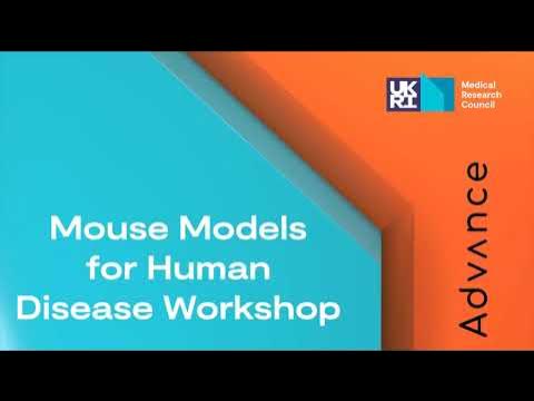 Our Mouse Models for Human Disease Workshop provides a comprehensive course in everything mouse genetics. Watch our video to find out why we set up this 5-day course and what it meant to some of the attendees when we last ran it. Apply by 31st May! youtube.com/watch?v=oX-78s…