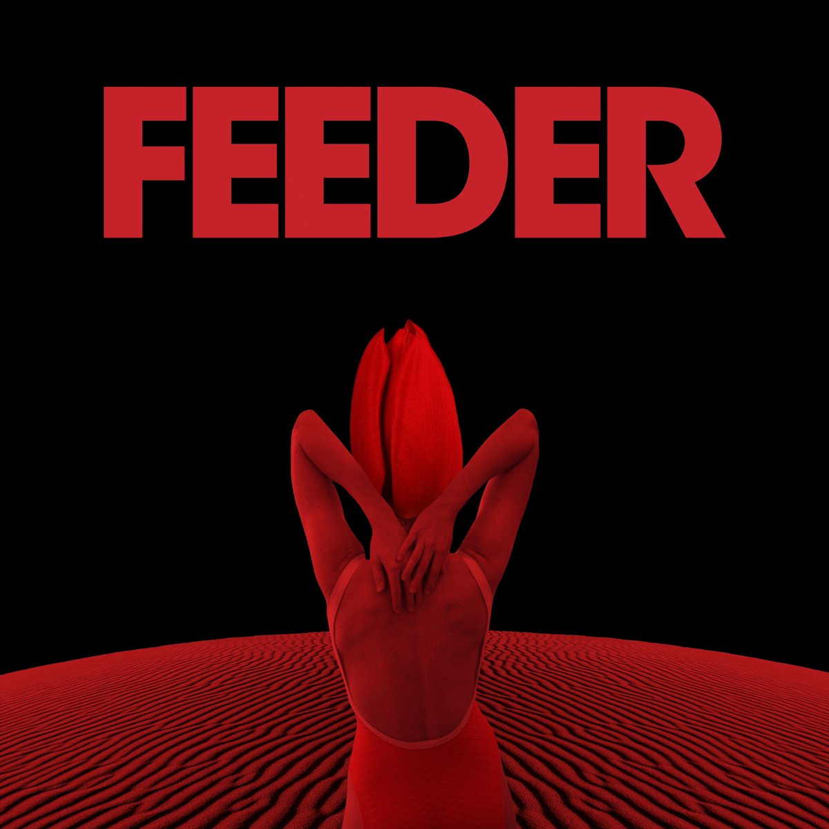 2 / 2 If you haven’t already, grab a copy of Black / Red before midnight. The 38 track Digital Deluxe Edition is available from the Feeder shop ( feeder.tmstor.es ) for £4.99 or £3.99 if you’ve already purchased a physical copy via feederweb.com Feeder x ⬛️🟥