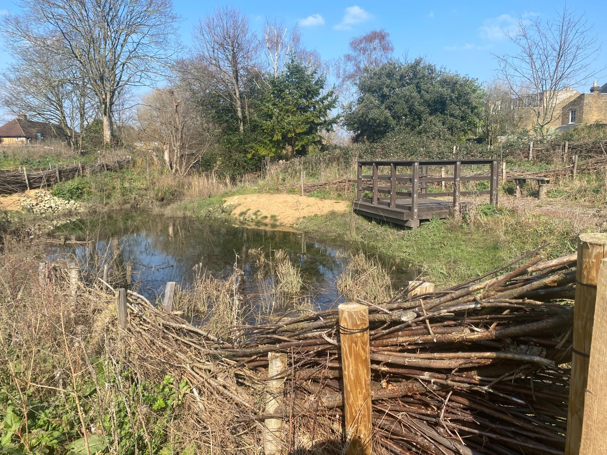 Remember to join @TheLamptonGroup team tomorrow (Friday) between 1:30 and 4:30pm for a first look at Northcote Nature Reserve (TW7 7JQ) and a chance to explore the scenery in advance of its official opening in June. And bring a pair of gardening gloves if you have them! 🧑‍🌾