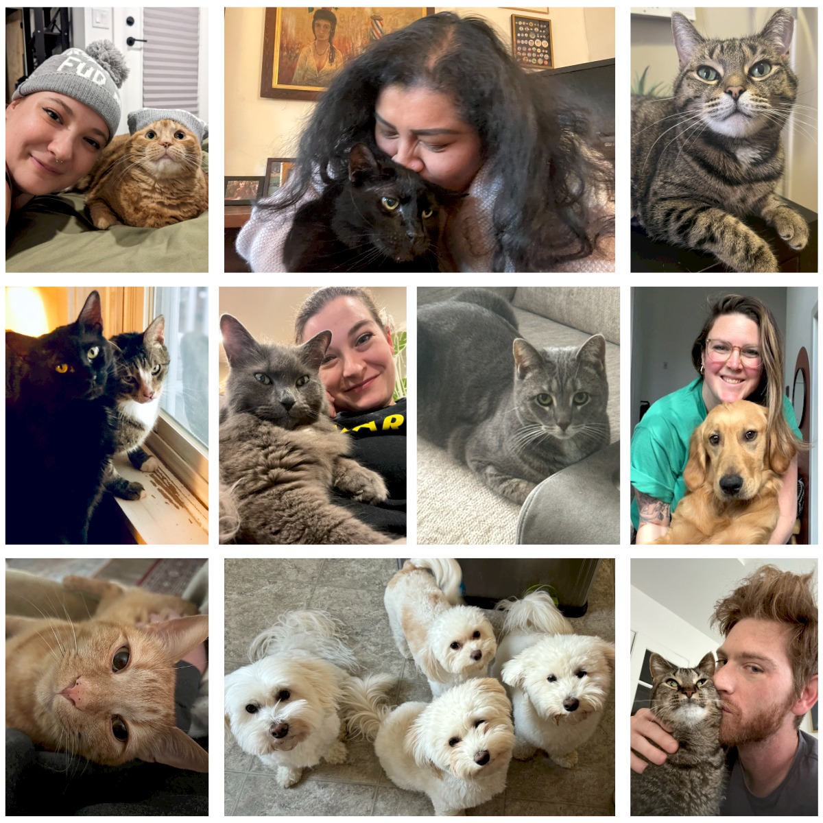 Happy #NationalPetDay! 🐾 City Year Philly's mission is all about the people we serve, but today we're celebrating our Beloved Community of furry friends. Meet some of the adorable companions who bring joy and comfort to our staff and Student Success Coaches every day! 🐶🐱