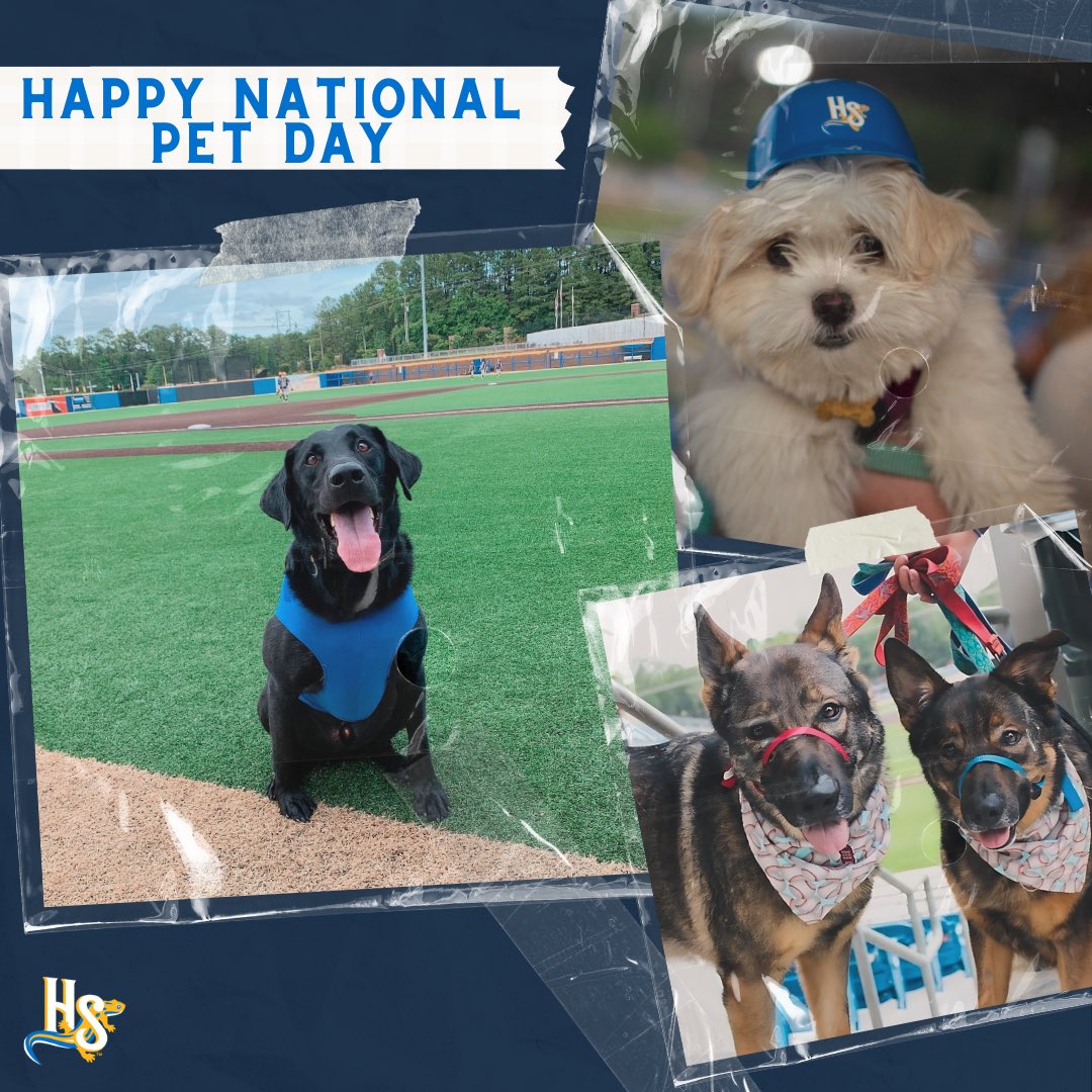 Happy National Pet Day! Get ready for our exciting Bark in the Park nights on June 6 (featuring special guest Champ), June 13, and July 11! We will also be having @RipkenTheBatDog on May 24 & June 14. We’re counting down the days to see you and your adorable furry friends! 🐾💙