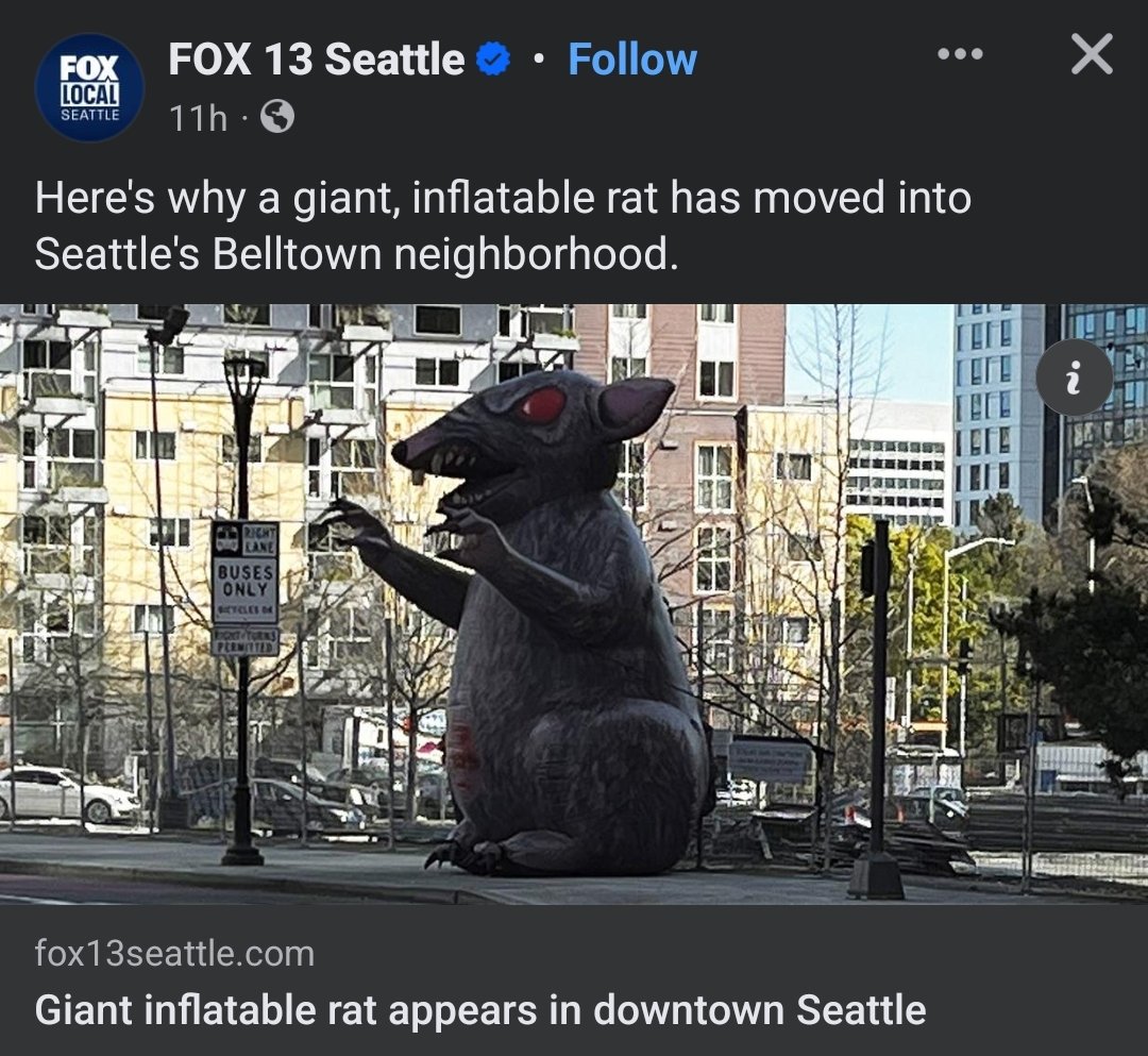 Copia is in Seattle everyone, he's fine. He's just leaving inflatable rats everywhere.