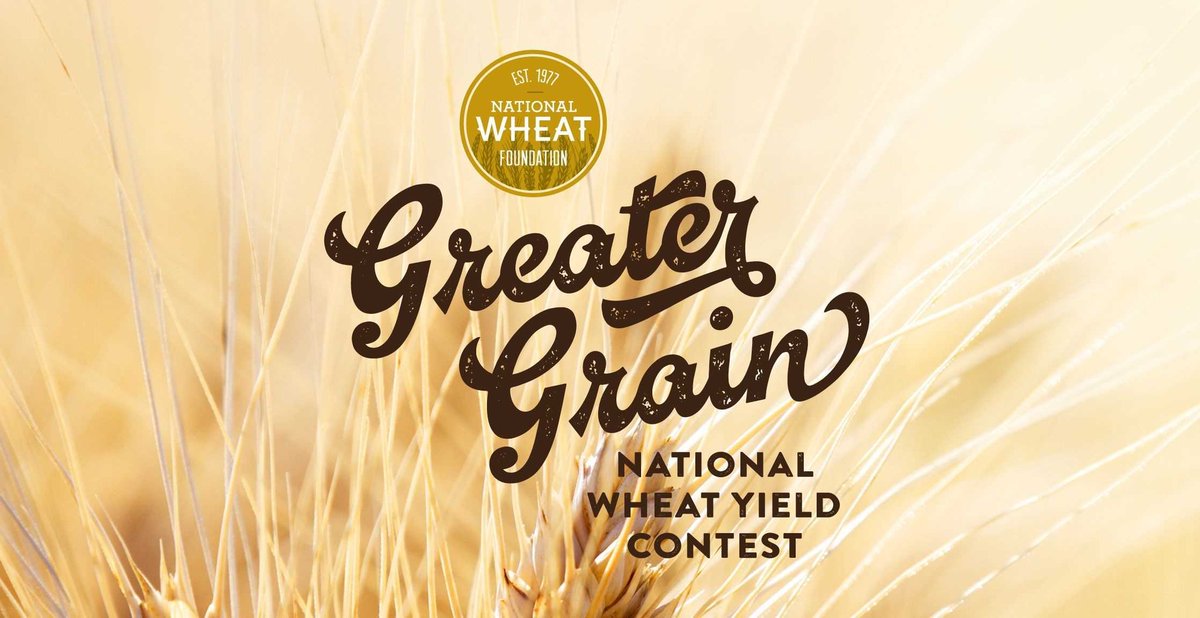 LimagrainWheat tweet media