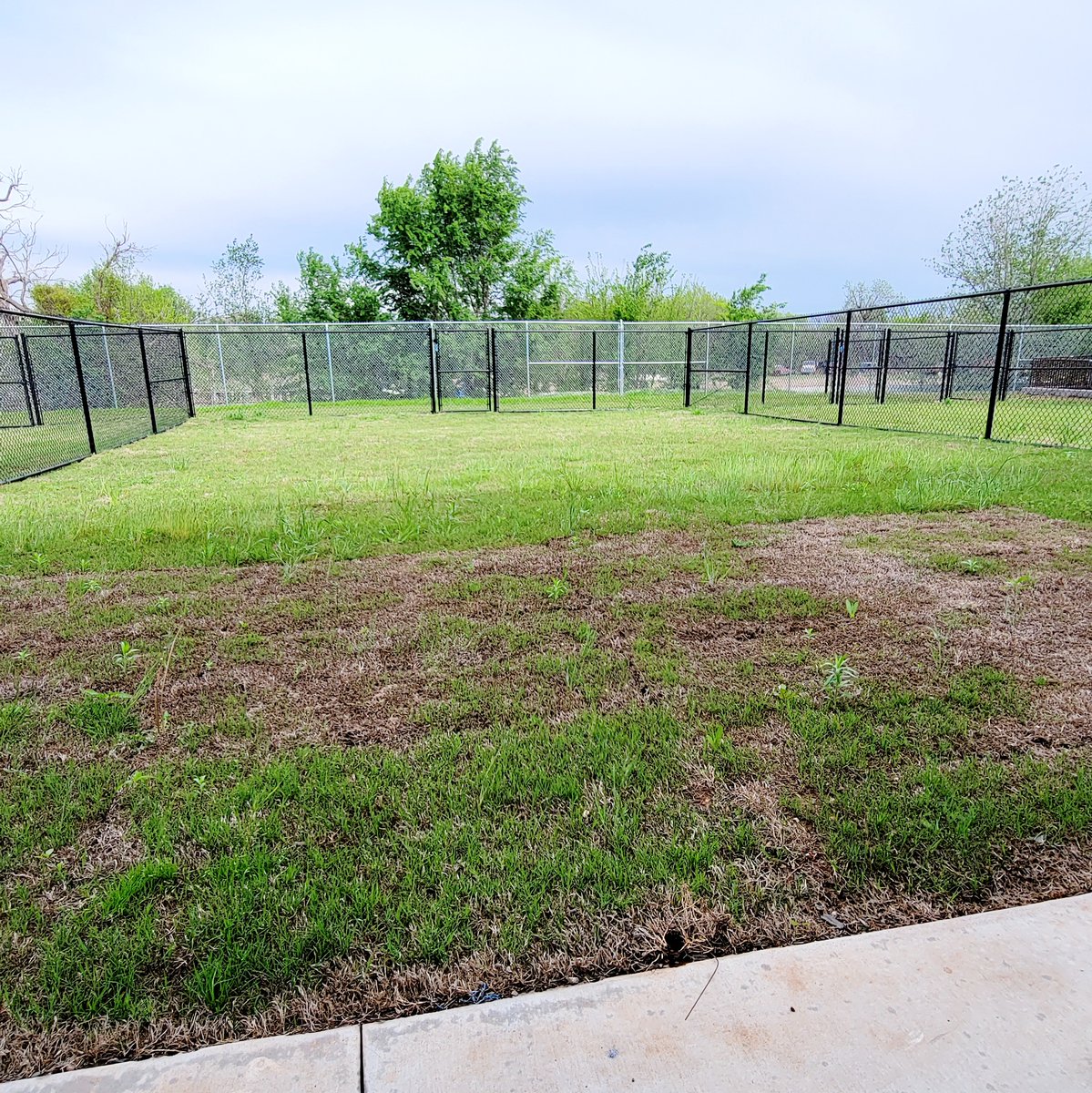 Moore Chamber tweet media