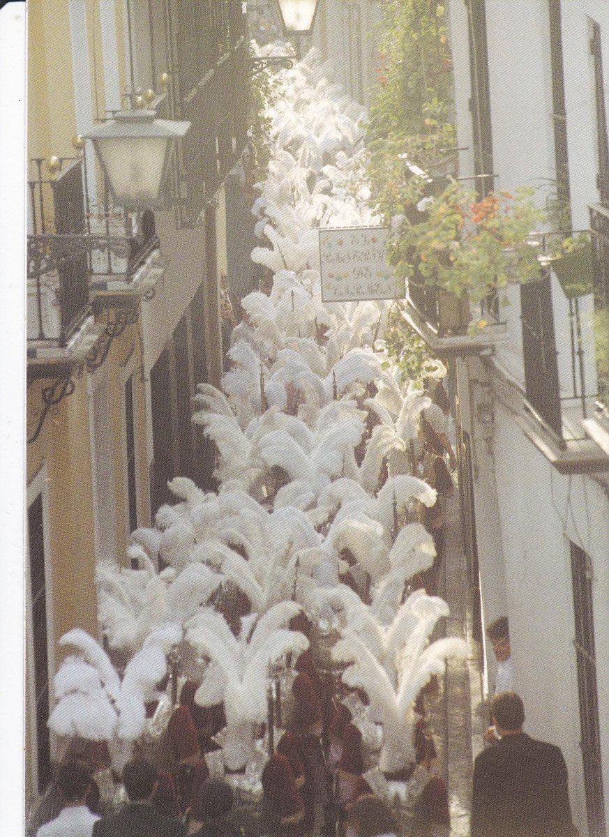 Un mar de plumas macarenas…

Fotografía de la década de 1990 hecha un Jueves Santo por la calle Castellar en la previa de una nueva Madrugá…

#TDSCofrade 
#SSantaSevilla24 
#SSantasevilla2024