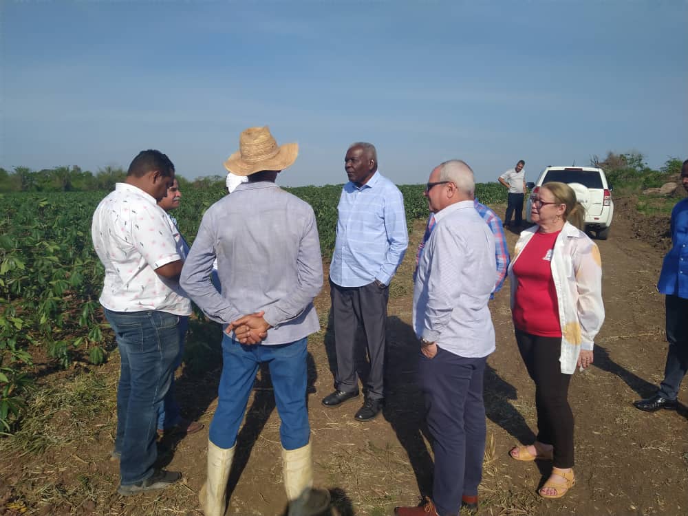 Esteban Lazo, presidente de @AsambleaCuba🇨🇺, recorre la finca Santana, de la Cooperativa de Créditos y Servicios (CCS) Manuel Piti Fajardo, del municipio de #Camagüey. ✅Junto a @HomeroAcostaA, sostiene fructífero diálogo con el campesino Ariel Santana Estrada #PoderPopular