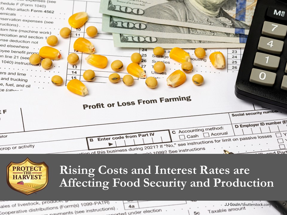 Rising costs and interest rates are affecting food security and production.
#foodsecurity #freeandfedAmerica #FoodorRent #FoodorDoctor #nutrition #foodproduction #feedingyourfamily
protecttheharvest.com/news/costs-and…