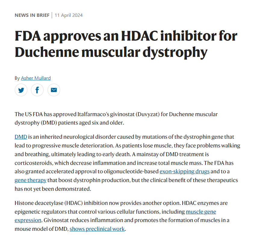 FDA approves an HDAC inhibitor for Duchenne muscular dystrophy bit.ly/3VUbKb2