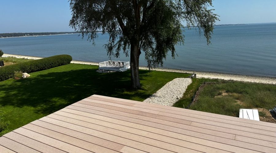 Capital Forest tweet media