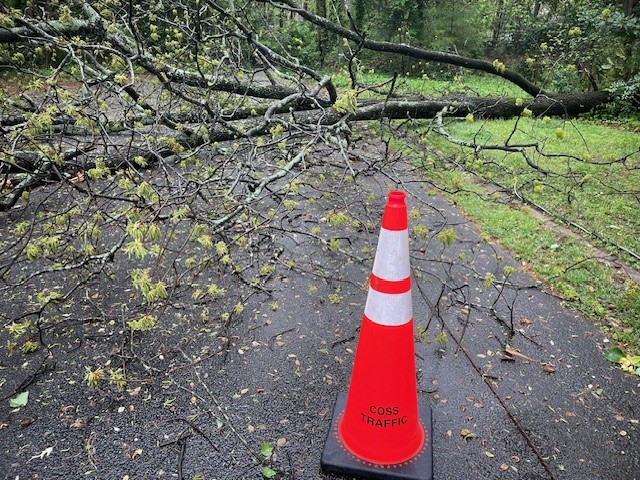 Following a windy night, we continue to have reports of downed trees, some with power lines involved. The following locations remain impacted:
6585 Williamson Drive
4840 Kendall Court
Crews are working to restore service and clear tree debris from the roadways. Please use caution…